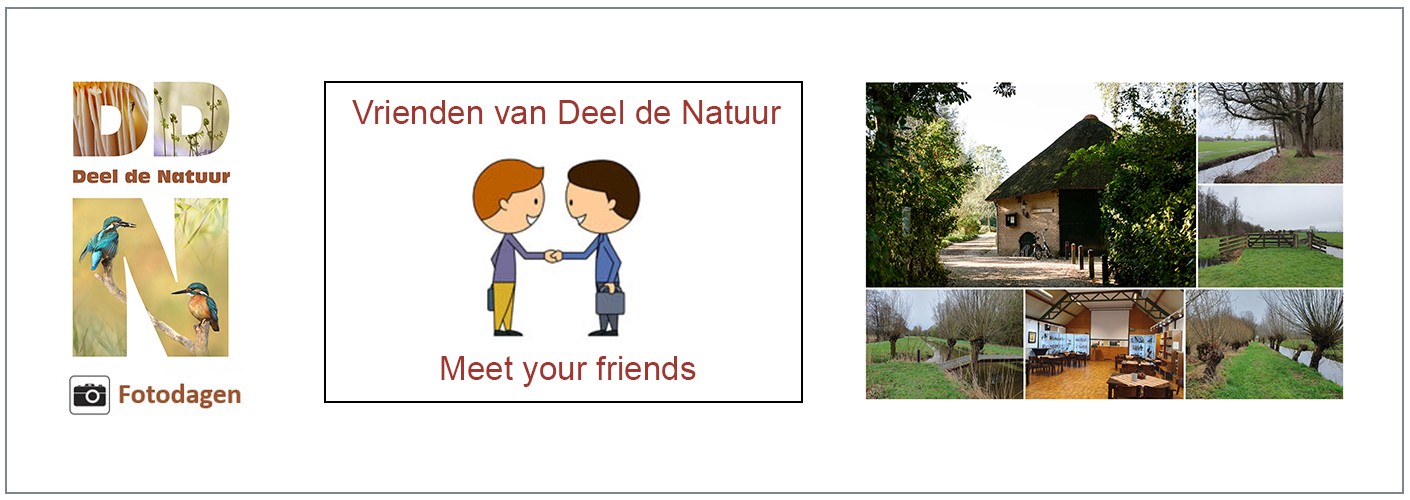 Meet your friends 2026