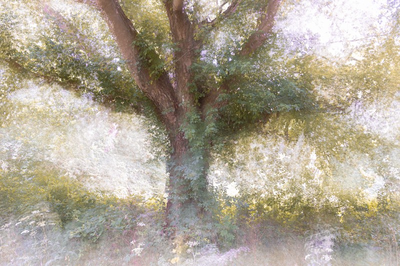 Come and dance with me