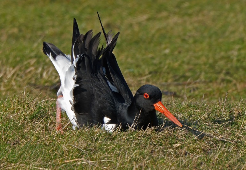 Voor alles is een eerste keer.