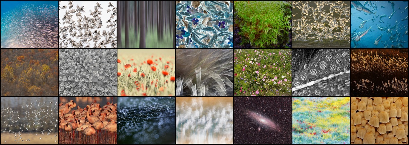 Thema van de maand april "Honderd"