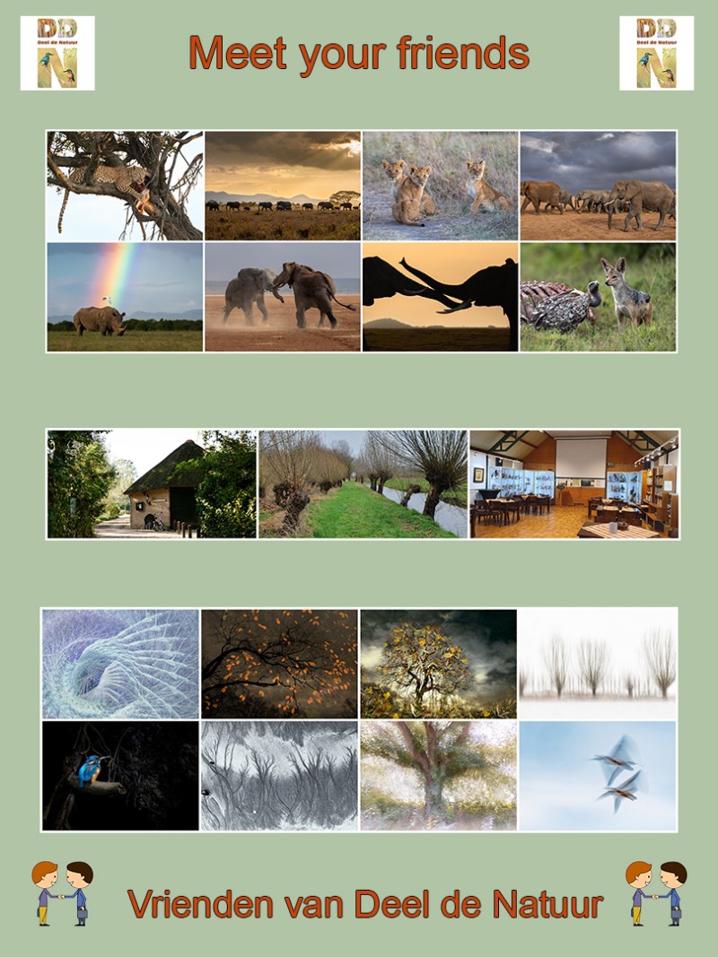 Meet your friends 2026