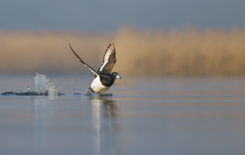 Nog even en ik ben er...