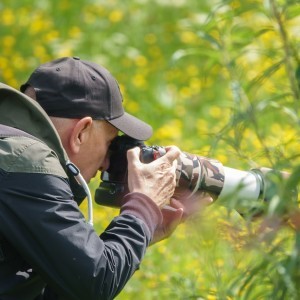 Profielfoto van Piet Grasmaijer