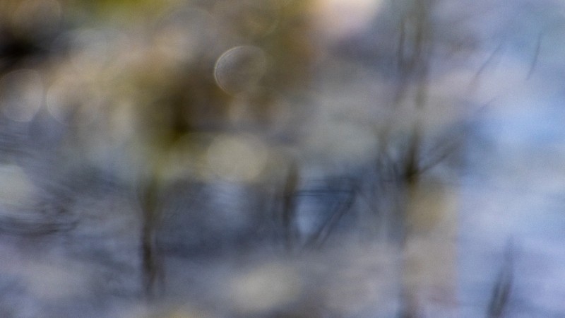 Dromen aan het water