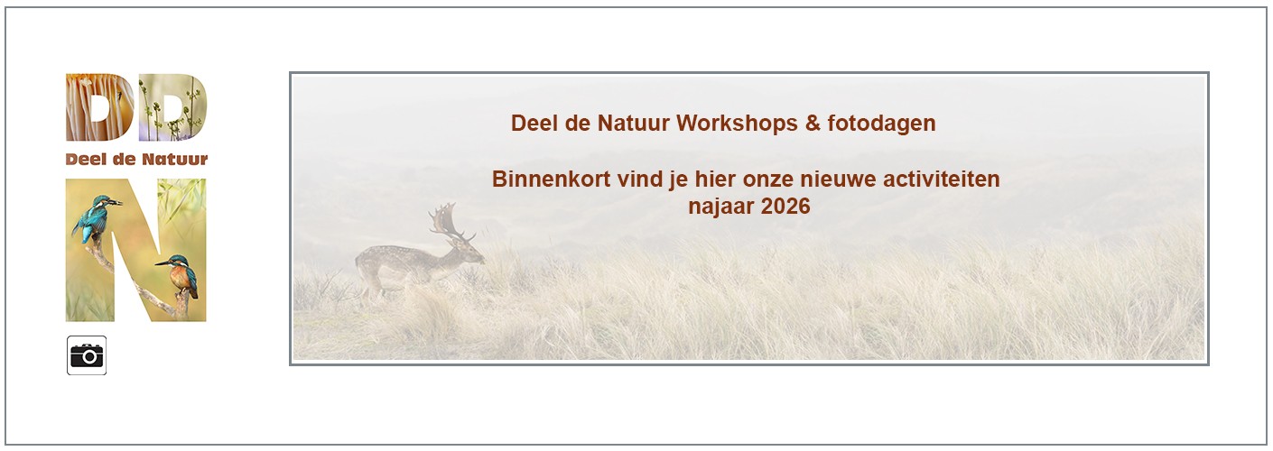 Binnenkort nieuwe activiteiten najaar 2026!