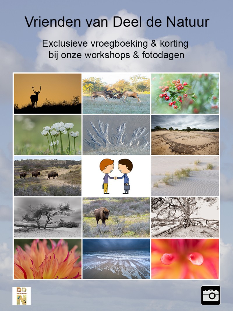 Binnenkort nieuwe activiteiten najaar 2026