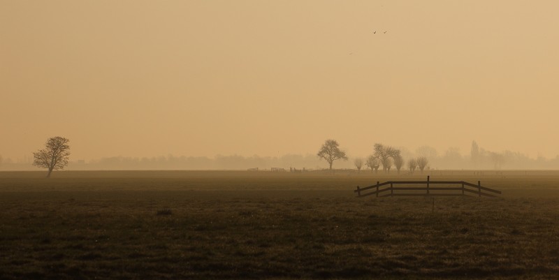 In de polder.