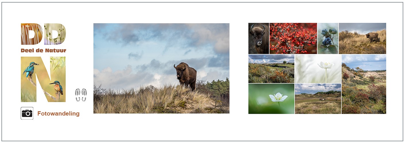 Fotowandeling Kraansvlak