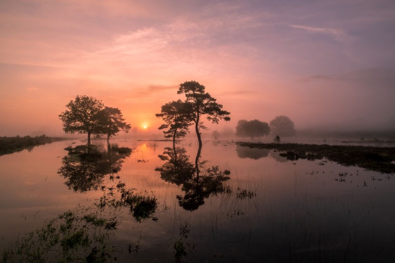 Een magische ochtend....