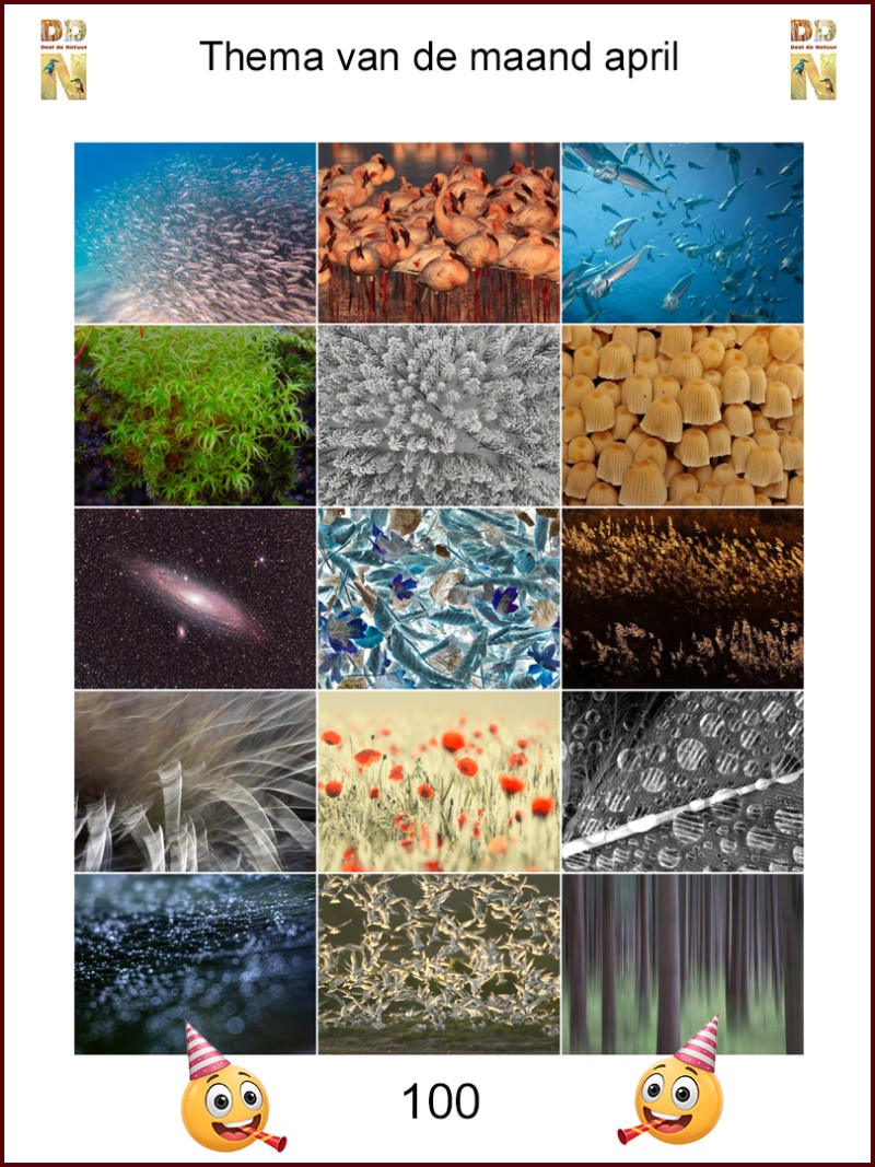 Thema van de maand april 'Honderd'