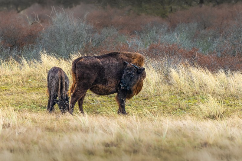 'Waar blijf je nou?!'