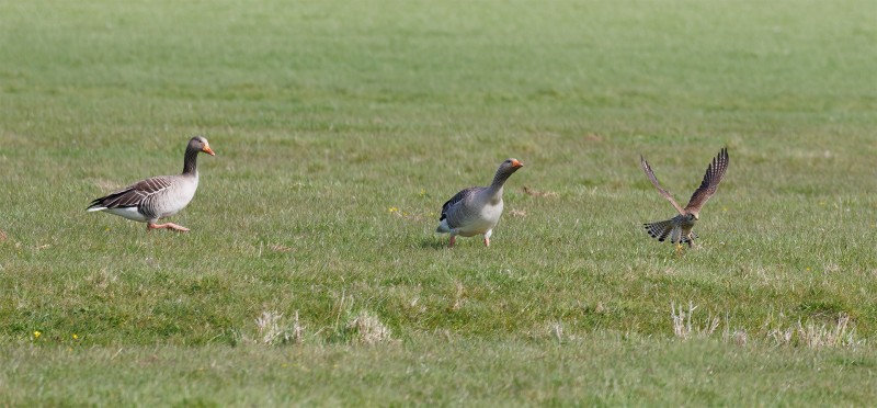 Weg jij.... ons plekkie!