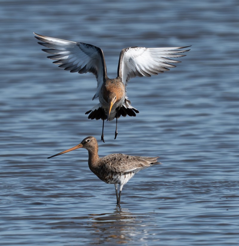 Ik ben er klaar voor!