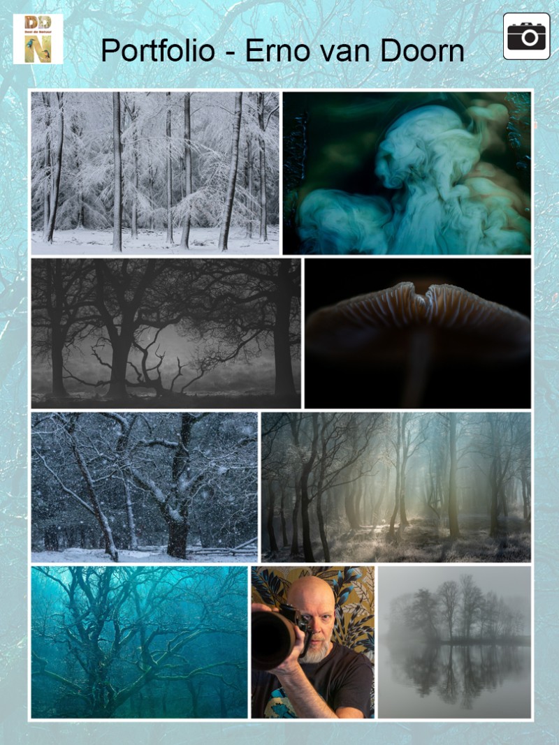 Portfolio Erno van Doorn