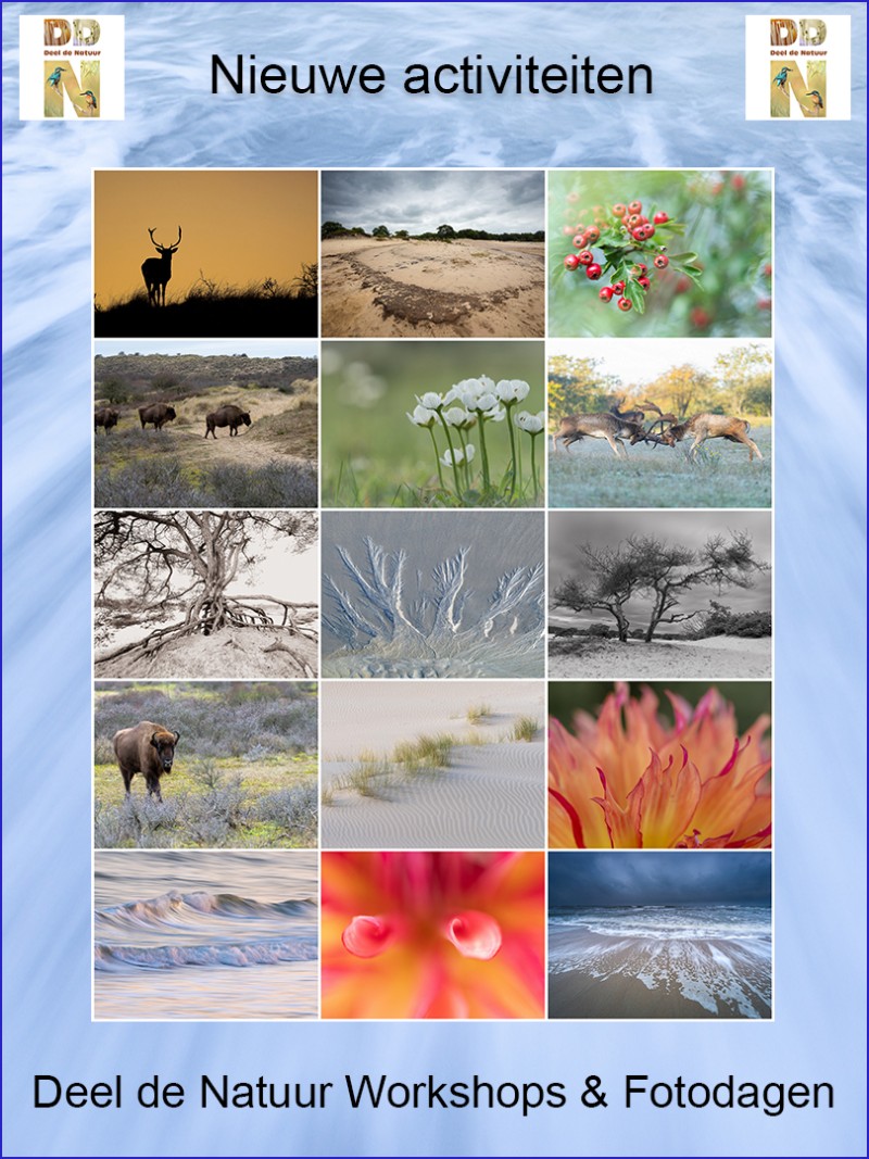 Nieuwe activiteiten najaar 2026