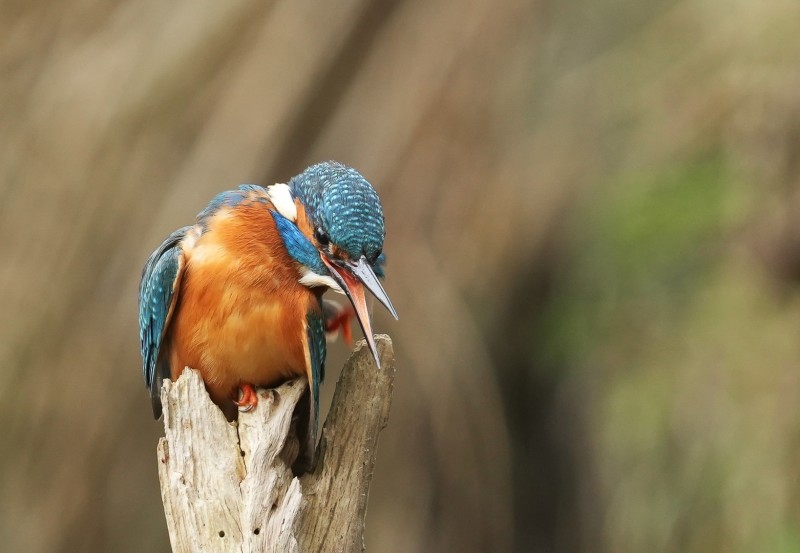 Even een schoonmaakbeurt!