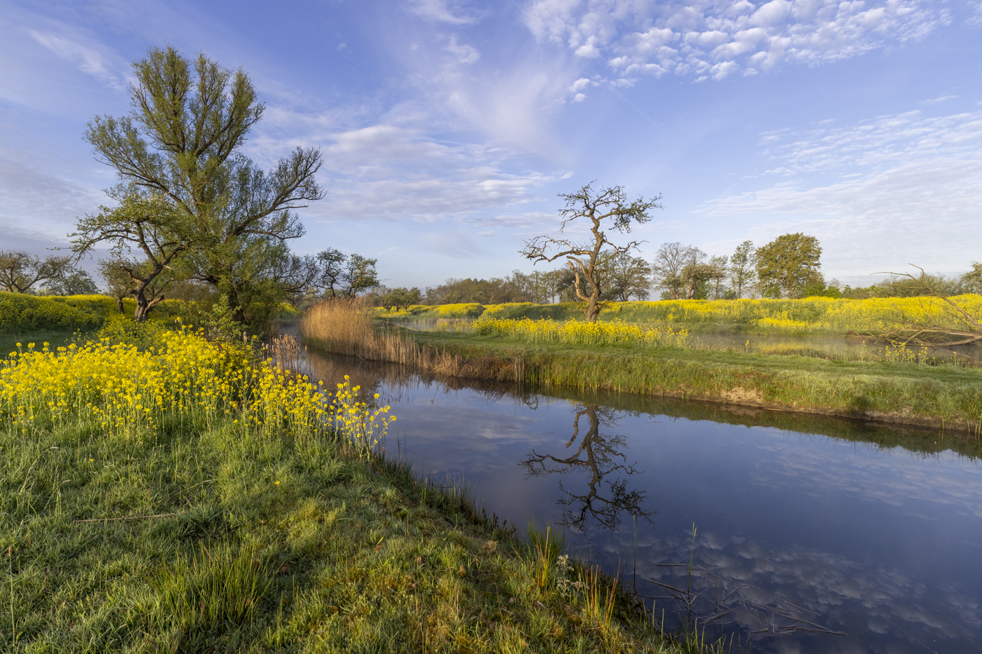 Marion de Weerd DDN Fotodag 2026 april 1