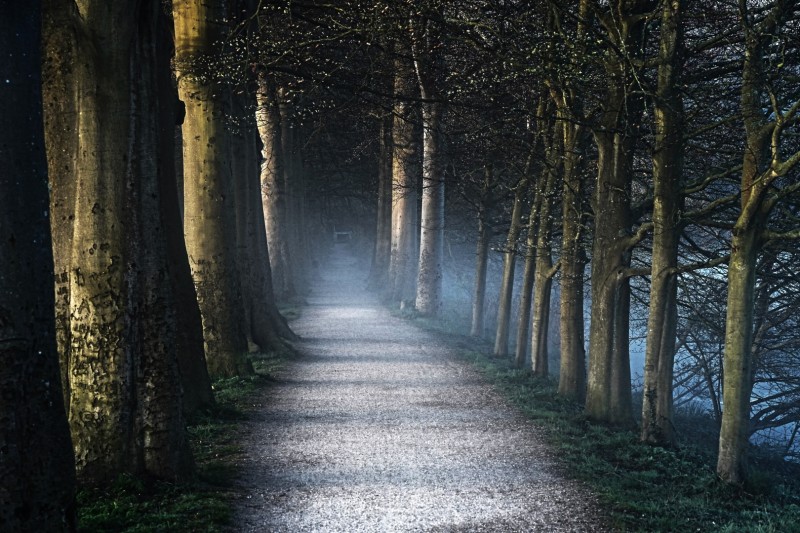 Clair/obscur pad (3665/4)