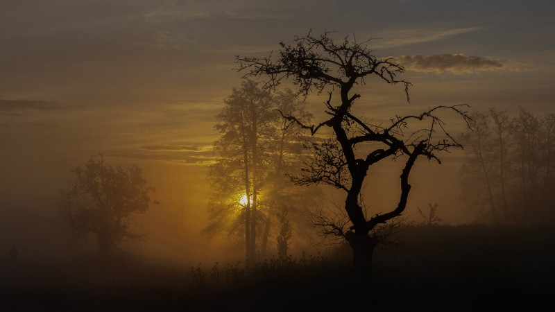 wouw... fotomomentje
