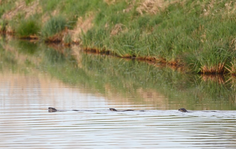 Zeg maar nee, dan zie je er