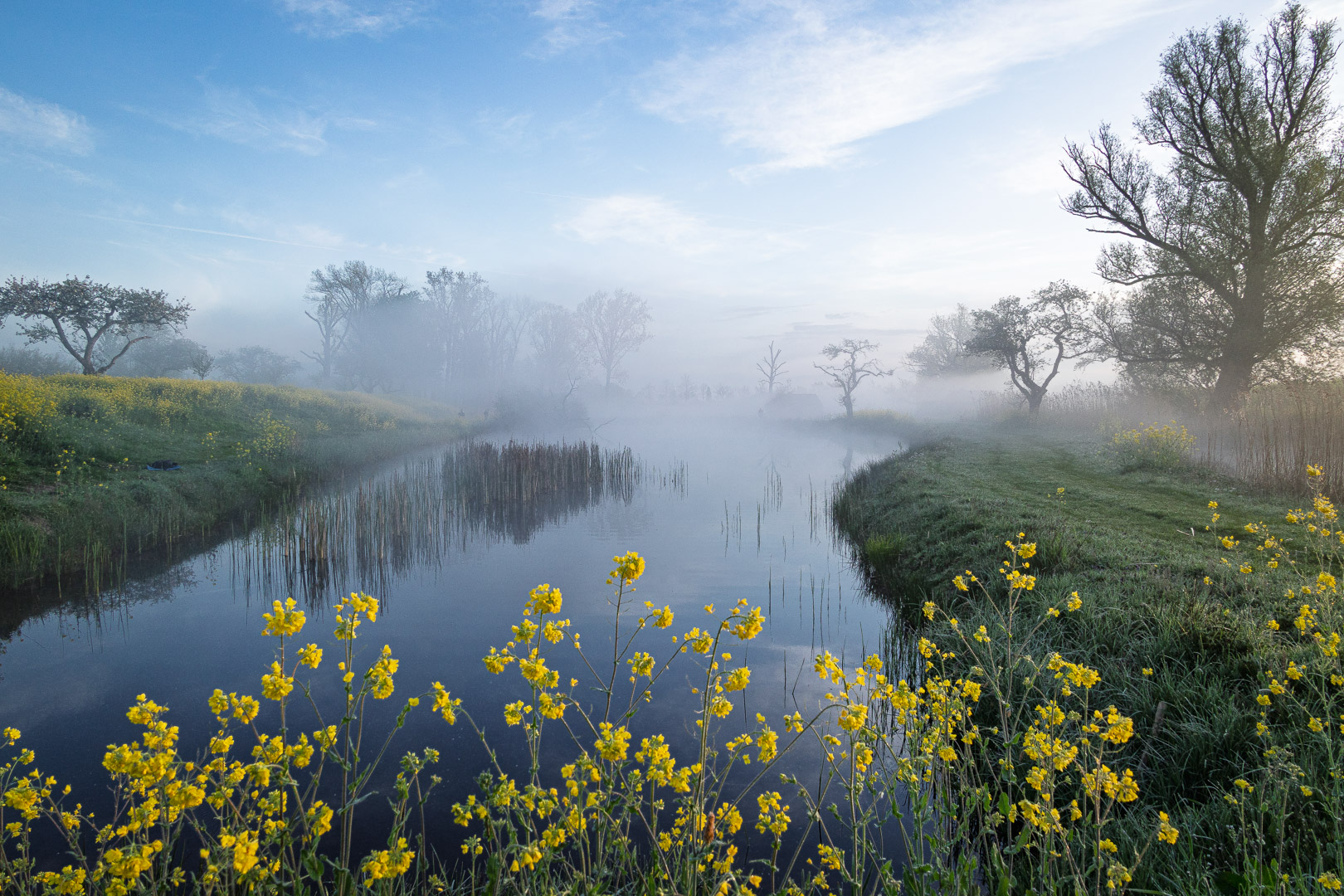 20260417_Schalkwijk-9