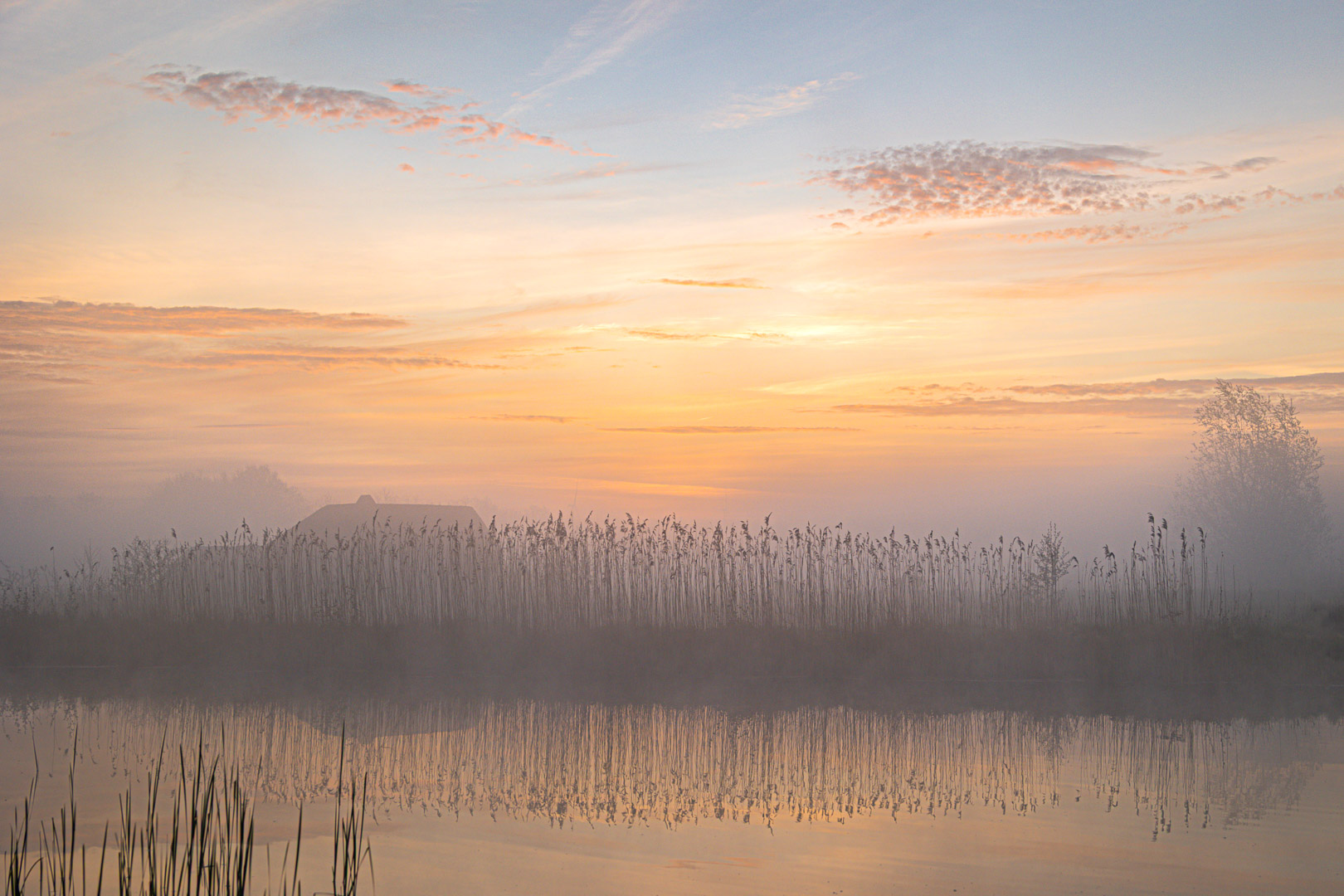 20260417_Schalkwijk-3