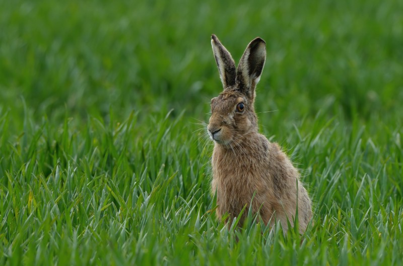 Weer eens een ander houding.