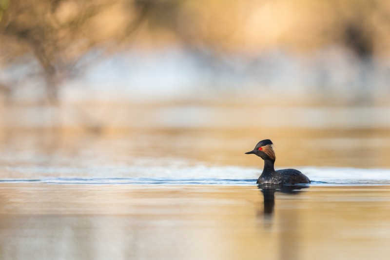 Op het lichte plekje