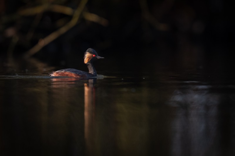 Op het donkere plekje