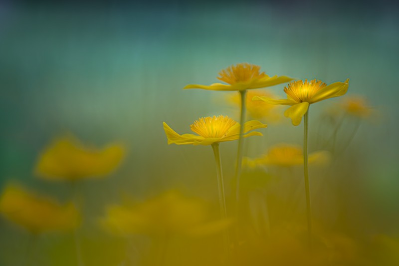 Waar het licht blijft hangen