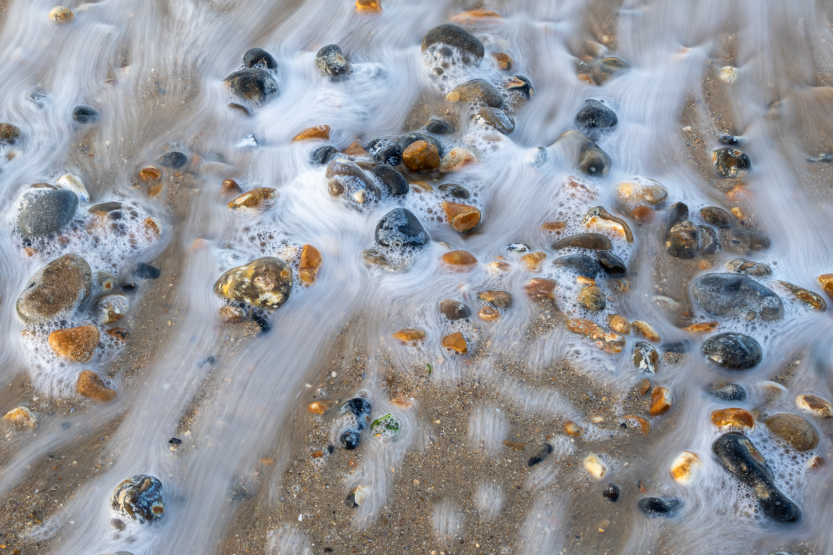 In de branding - Deel de Natuur - Loes Belovics