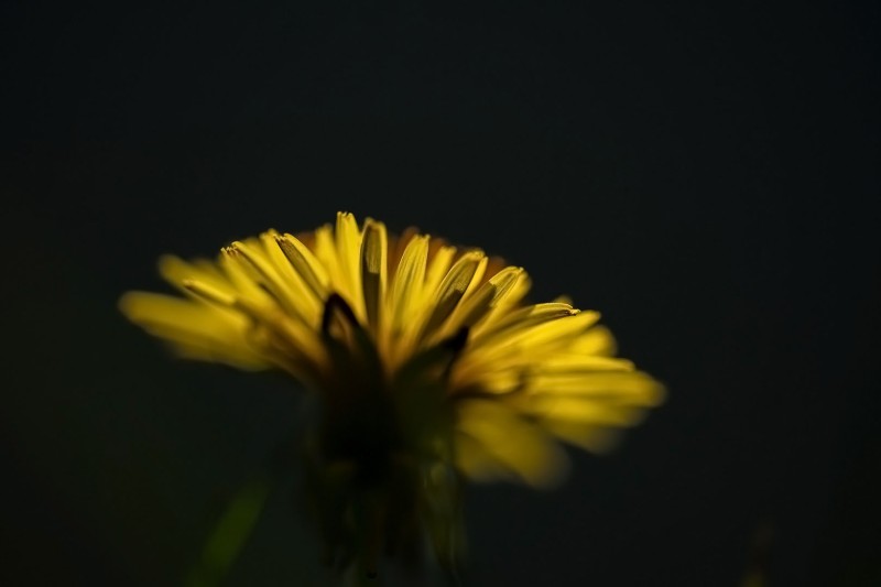 First light