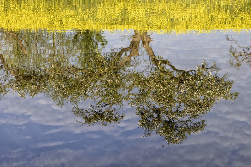 In het water