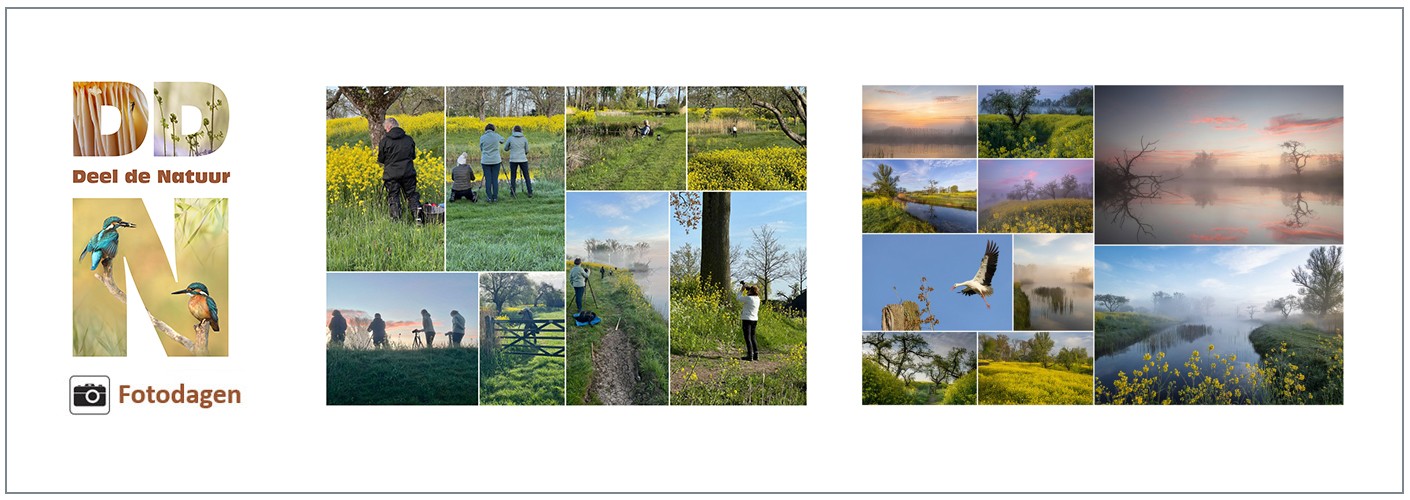 Verslag Fotodag Werk aan de Groeneweg