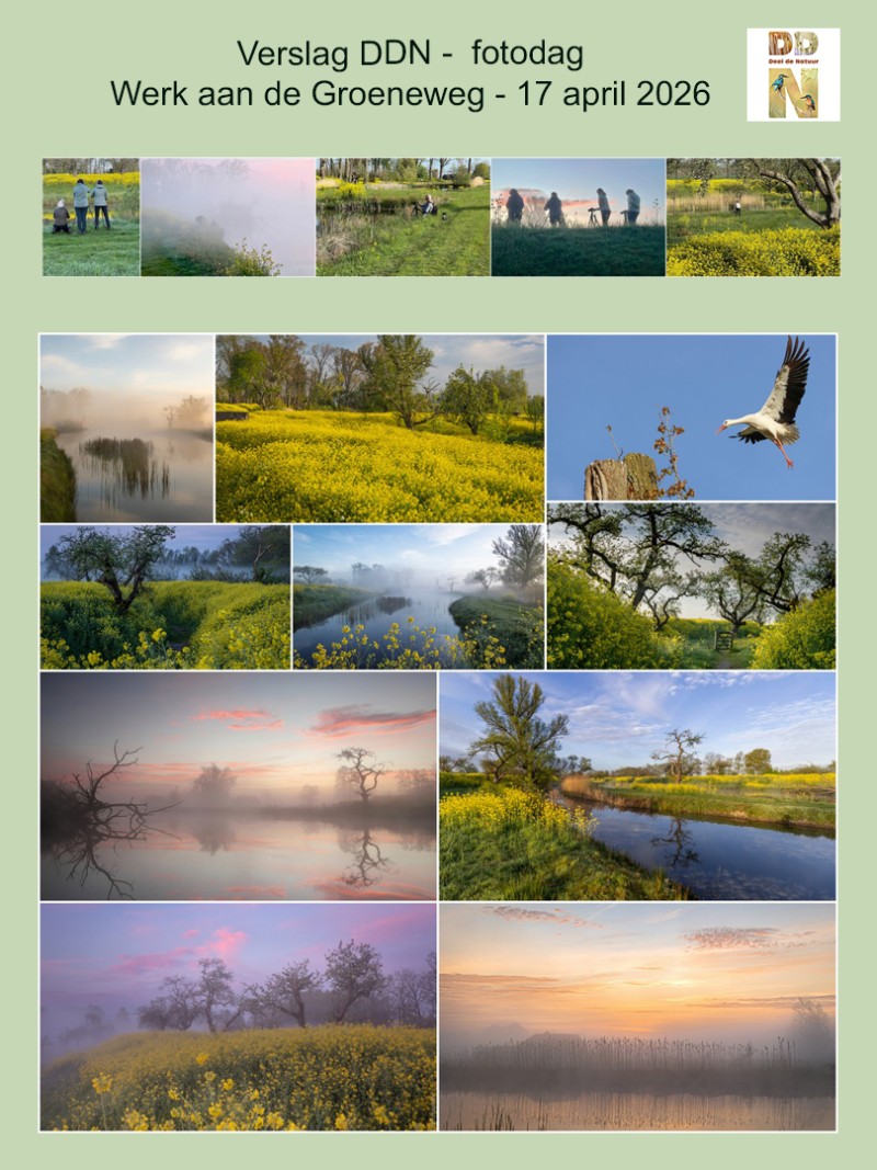 Verslag Werk aan de Groeneweg