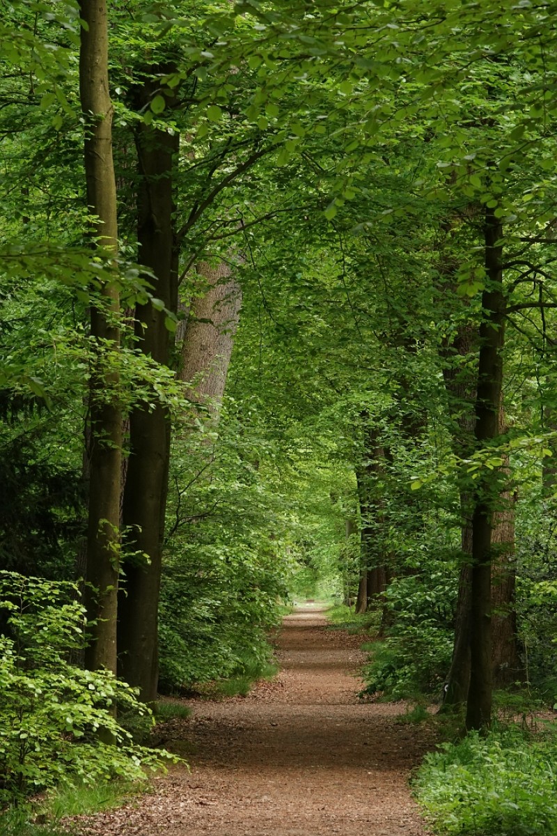 Groen Groen en nog eens Groen