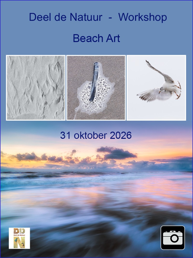 Workshop Beach Art