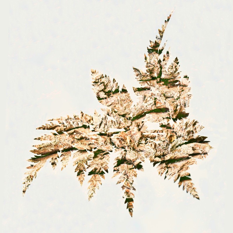 Nature dance