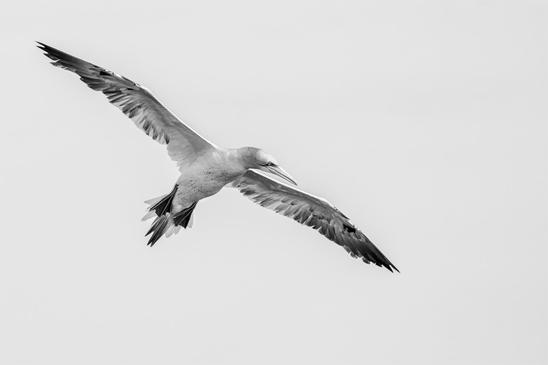 On wings of air