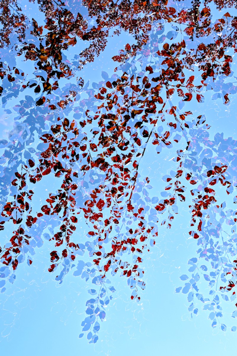 "Wat zien ik"