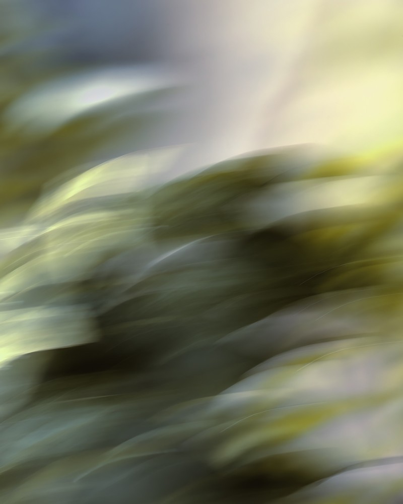 Wind