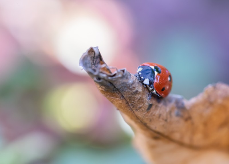 Gezelligheid in de tuin