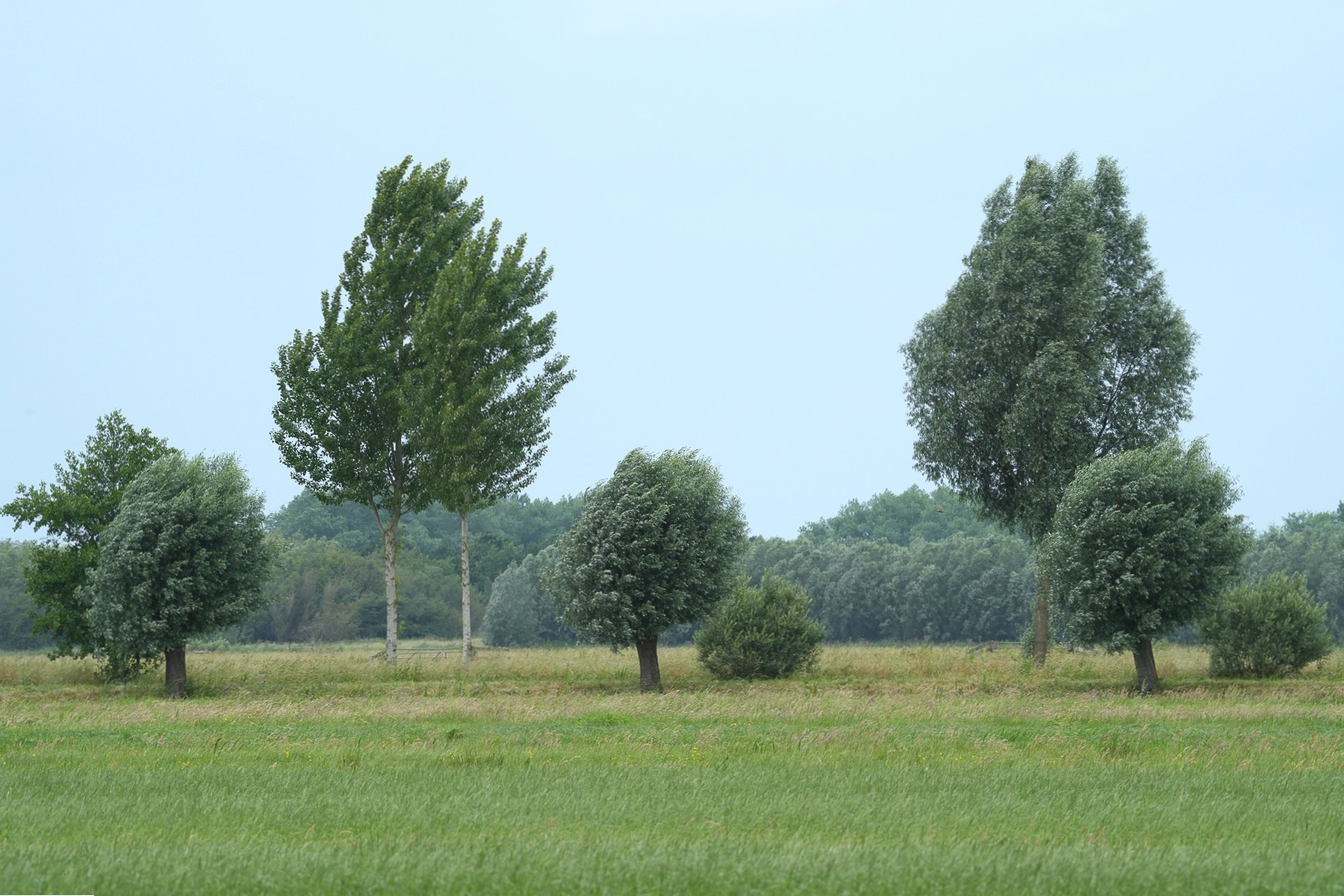 DSC07792-1
