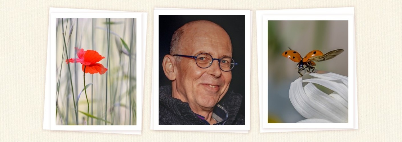 Portfolio Peter van Hengstum