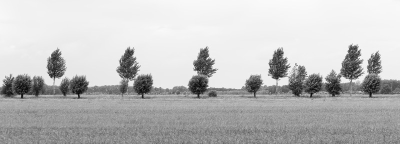 Groot en Klein