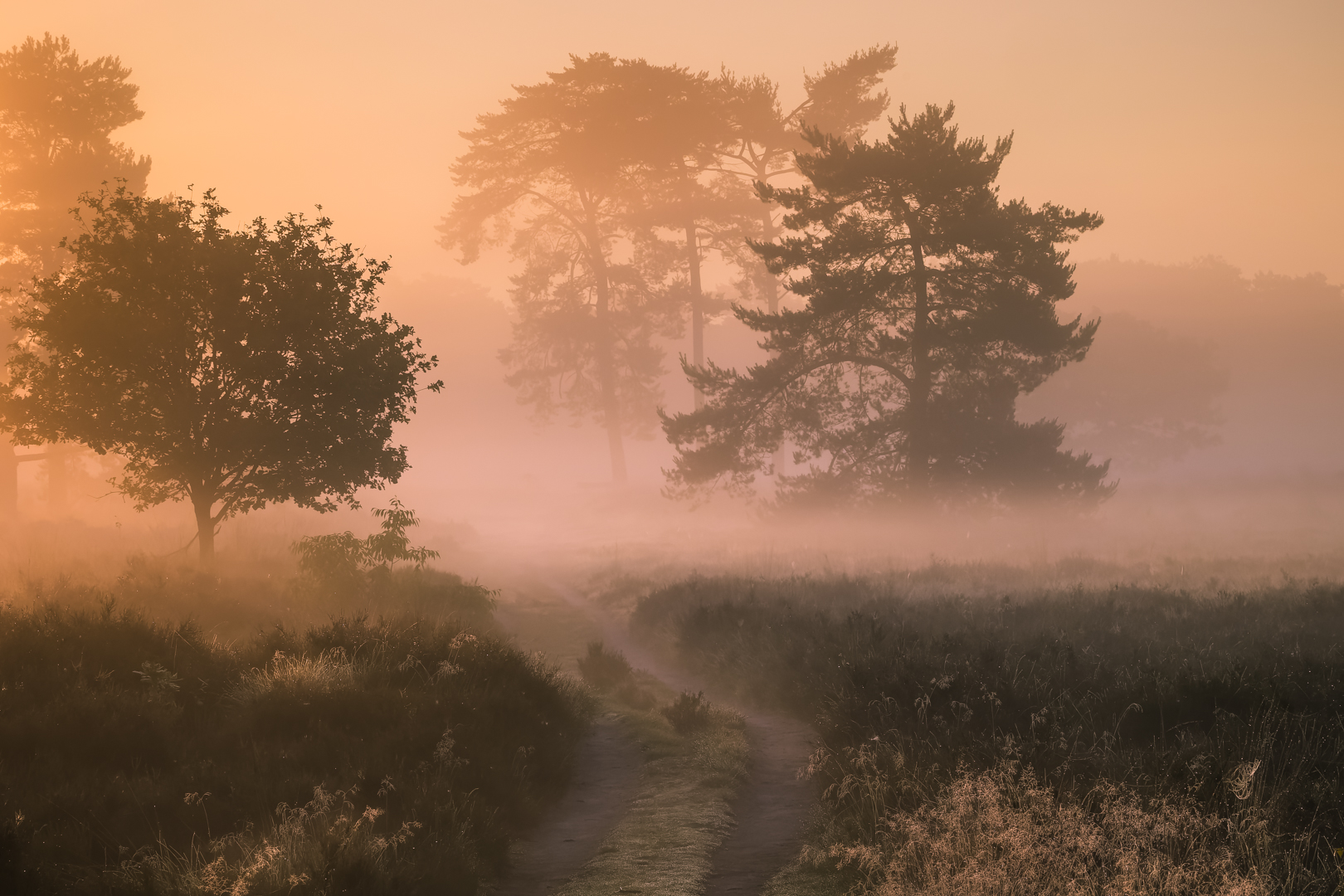 20260611-PG-De Treek-Henschoten-Landschap-0026-CR3_DxO_DeepPRIME
