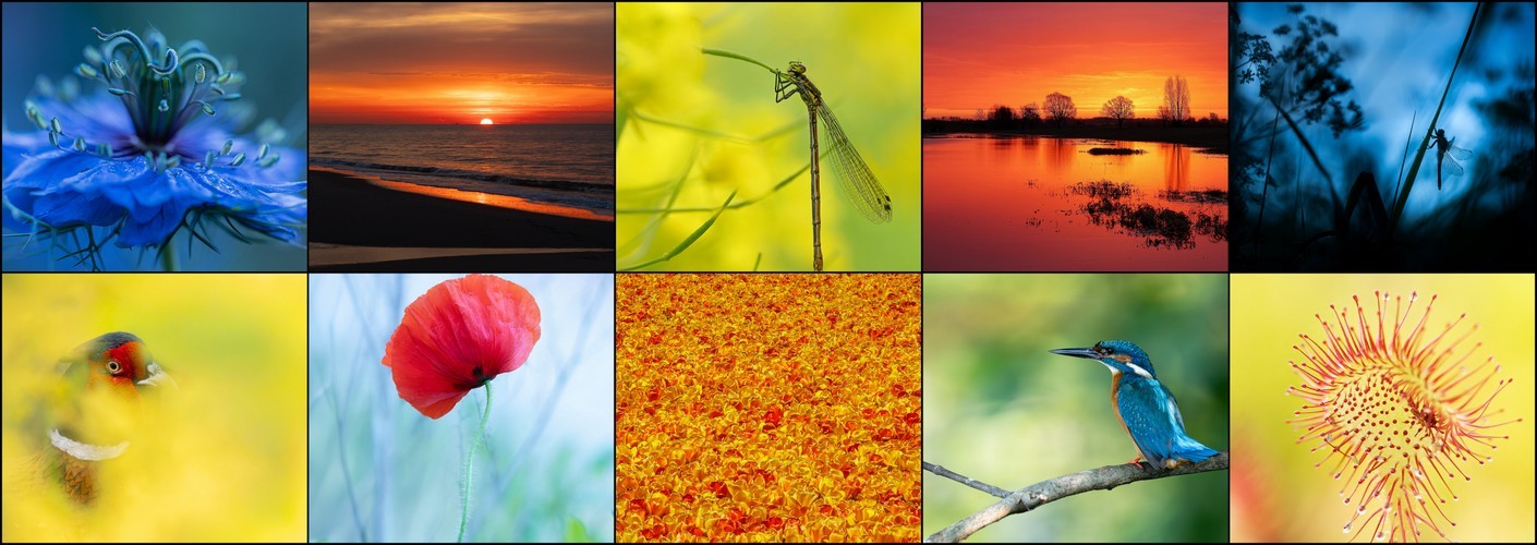 Thema van de maand juli "Primaire kleuren"