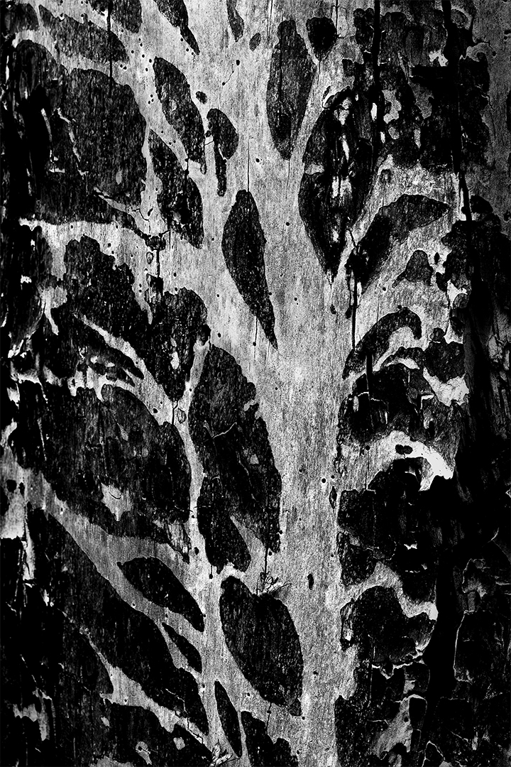 IMG_3116 corr 1080PX sRGB v2