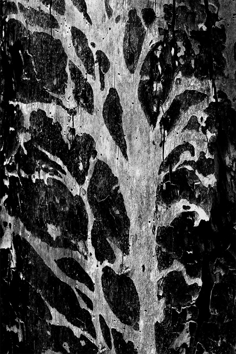 Tree of life