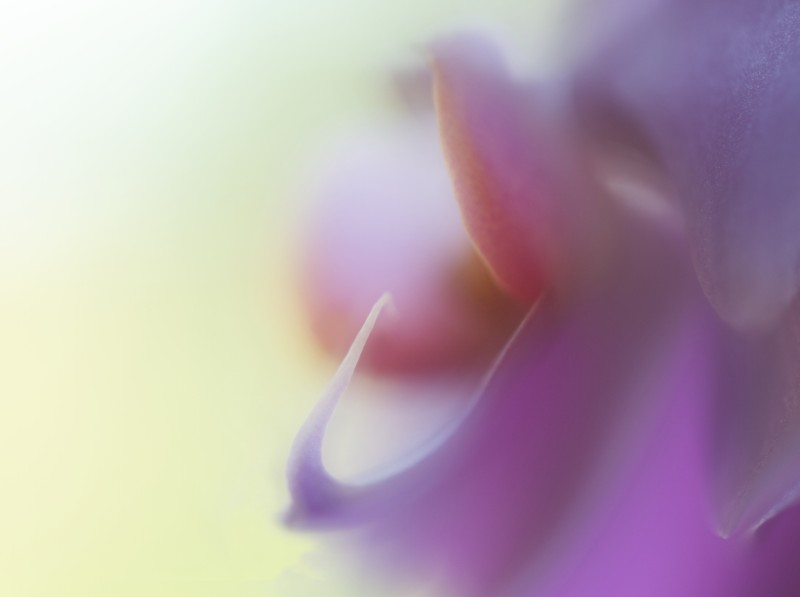 Soft